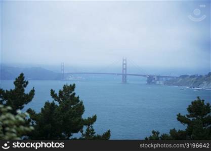 Panoramic view of a bridge in fog, Golden Gate Bridge, San Francisco, California, USA