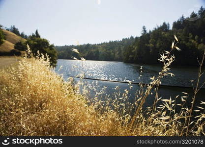 Panoramic view of a lake