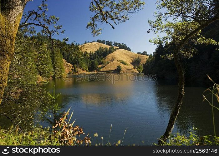 Panoramic view of a lake, Mt. Tamalpais State Park, California, USA