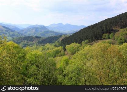 panoramic view of a mountain range in a forest of trees against blue sky and clouds
