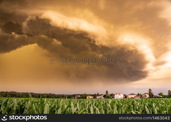 Panoramic view of a terrifying dark thunderstorm approaching small village. Flowing above corn fields.. Panoramic view of a terrifying dark thunderstorm approaching