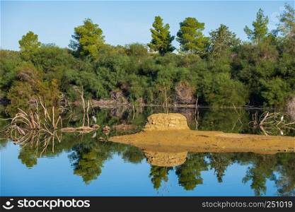 Panoramic view of Athalassa Lake in Cyprus with beautiful reflections of the sky, trees and birds on a beautiful sunny morning