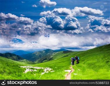 Panoramic view of Carpathians - summer meadow in mountains