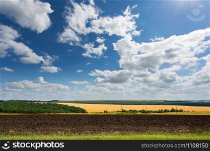 Panoramic view of cultivated land