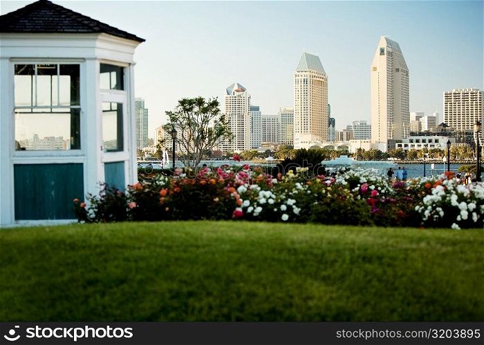 Panoramic view of downtown San Diego from Coronado Island, San Diego, California, USA