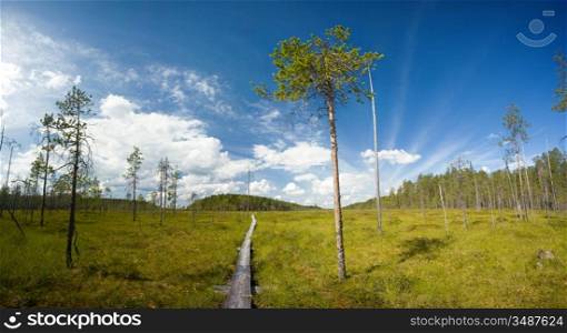 panoramic view of hiking trail at Ruunaa hiking area, Finland