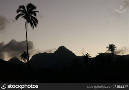 Panoramic view of hills, Moorea, Tahiti, French Polynesia, South Pacific