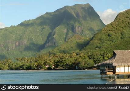 Panoramic view of hills near the ocean, Moorea, Tahiti, French Polynesia, South Pacific