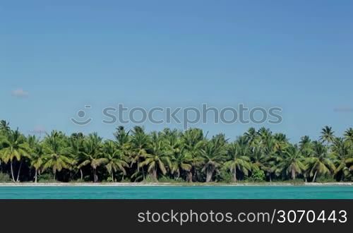 Panoramic view of island with many palm trees and clear blue sea