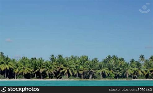 Panoramic view of island with many palm trees and clear blue sea