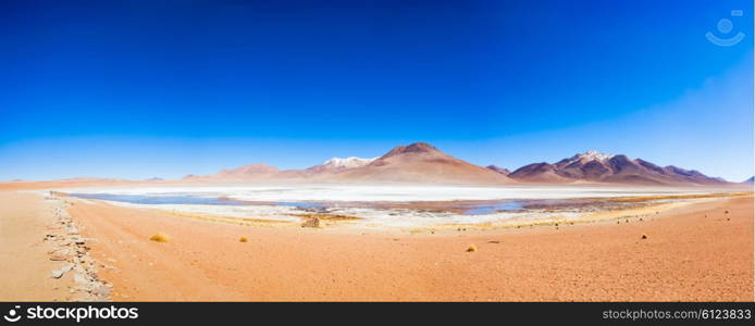 Panoramic view of Laguna Honda, it is a salt lake in the altiplano of Bolivia.