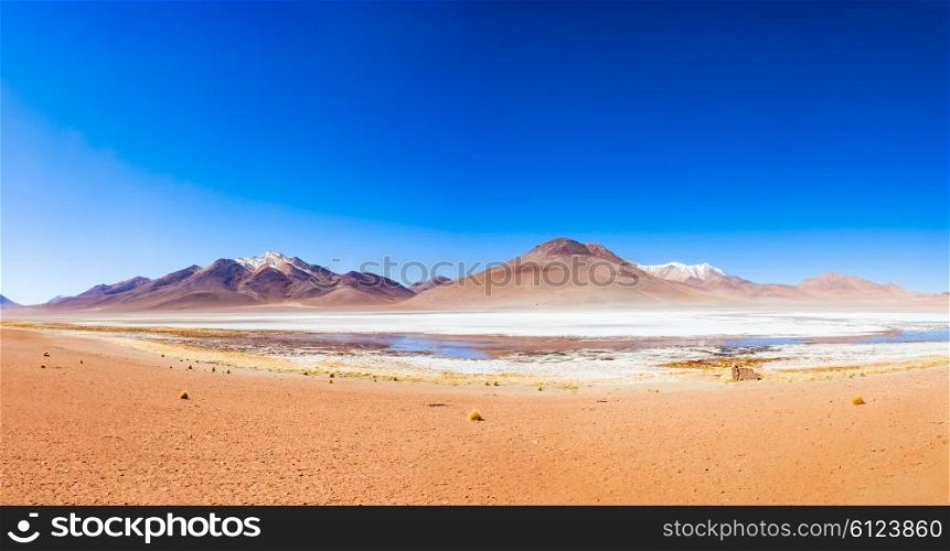 Panoramic view of Laguna Honda, it is a salt lake in the altiplano of Bolivia.