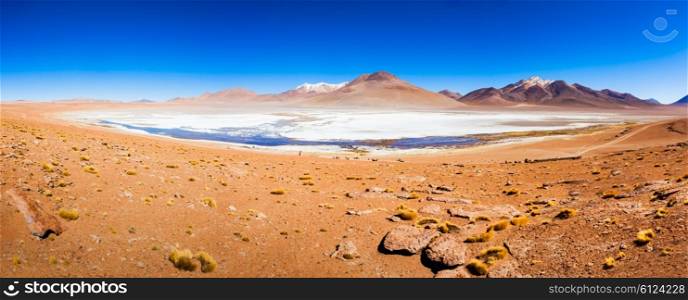 Panoramic view of Laguna Honda, it is a salt lake in the altiplano of Bolivia.