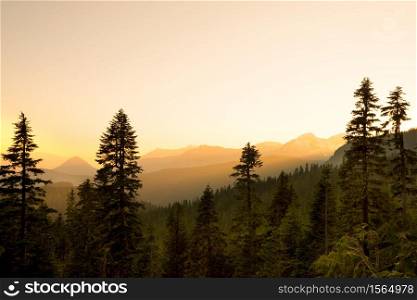 Panoramic view of Mount Rainier National Park, Washington State, USA