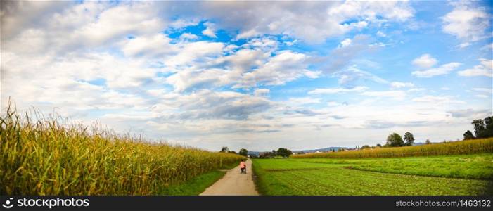 Panoramic view of road through fields leading from village to forest. Young woman with stroller runs down the road.. Young woman with stroller runs on country road.