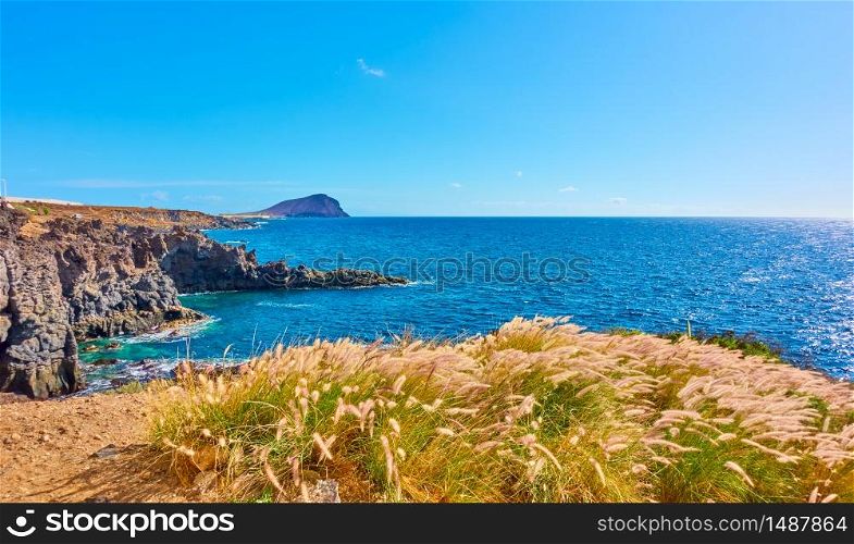 Panoramic view of The Atlantic Ocean and rocky coast of Tenerife with grass, The Canary Islands - Landscape