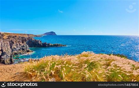 Panoramic view of The Atlantic Ocean and rocky coast of Tenerife with grass, The Canary Islands - Landscape