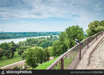 Panoramic view of the Danube and Sava rivers from the Belgrade fortress and Kalemegdan in Serbia on a cloudy summer day. Danube river near Belgrade fortress