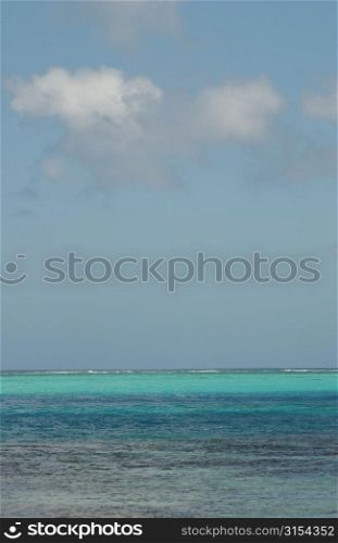 Panoramic view of the ocean, Moorea, Tahiti, French Polynesia, South Pacific