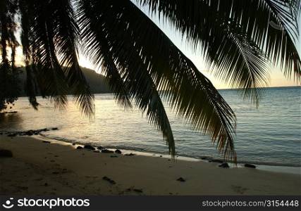 Panoramic view of the seashore, Moorea, Tahiti, French Polynesia, South Pacific