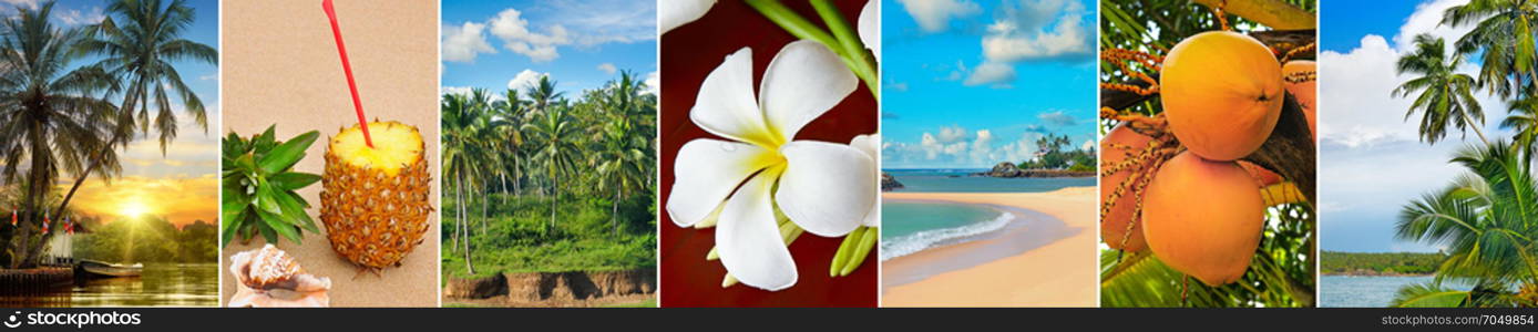 Panoramic view of tropical beaches, palm trees and fruits. Collage.Wide photo.