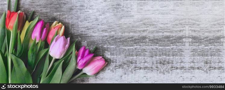 panoramic view on a bouquet of tulips on a wooden background with copy space  . panoramic view on a bouquet of tulips on a wooden background 