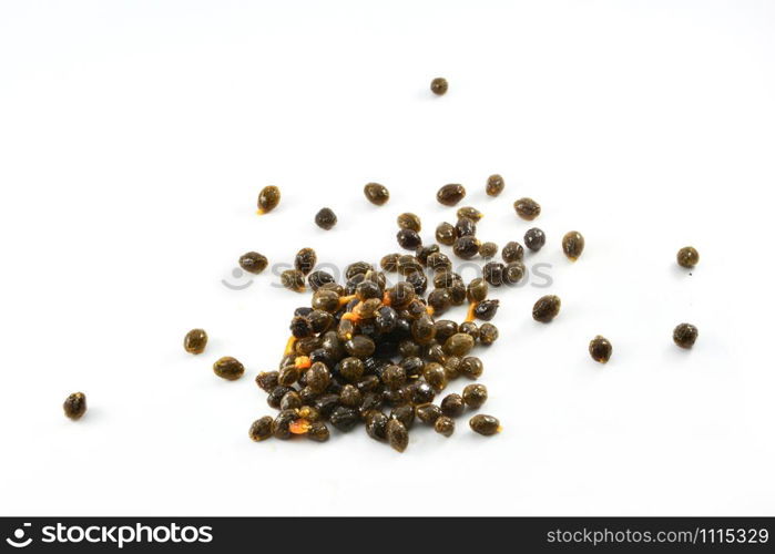 Papaya seed fruit for planting on white background