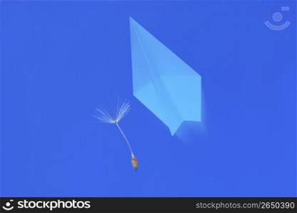 Paper airplane and Dandelion