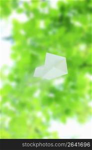 Paper airplane and Fresh green