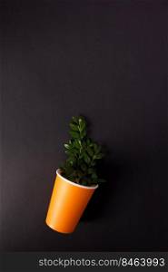 Paper cup and branch with leaf at black paper background texture. Recycling concept or creative idea