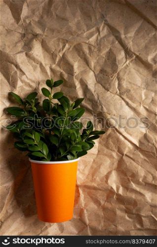 Paper cup and branch with leaf at parcel as background texture. Recycling concept or creative idea