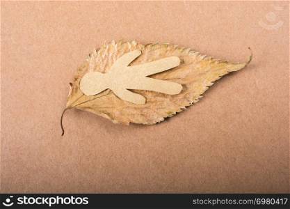 Paper man shape placed on a dry leaf in view