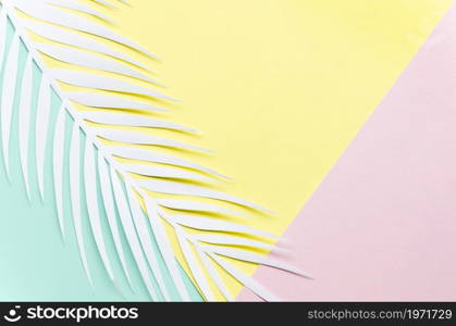 paper palm leaf multicolored table. High resolution photo. paper palm leaf multicolored table. High quality photo
