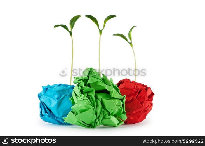 Paper recycling concept with seedlings on white