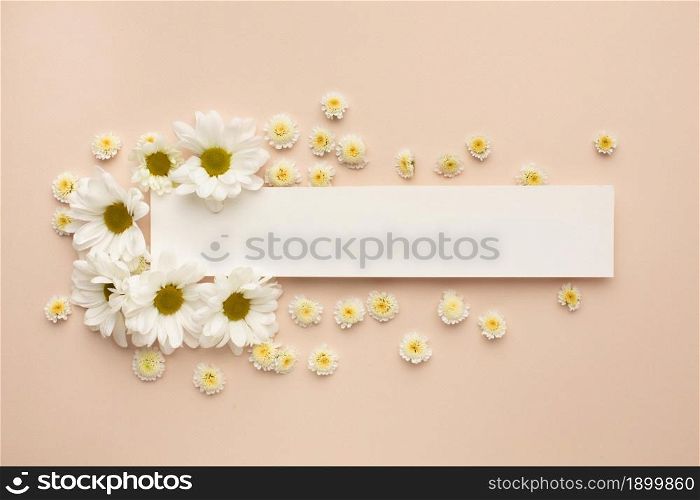 paper sheet with blooming flowers. Resolution and high quality beautiful photo. paper sheet with blooming flowers. High quality beautiful photo concept
