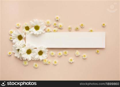 paper sheet with blooming flowers. Resolution and high quality beautiful photo. paper sheet with blooming flowers. High quality beautiful photo concept