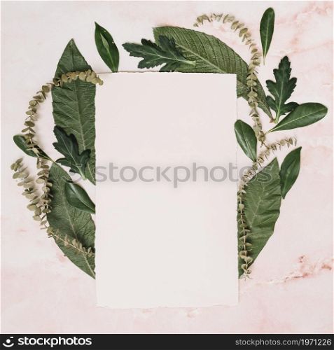 paper sheet with leaves branches table. High resolution photo. paper sheet with leaves branches table. High quality photo