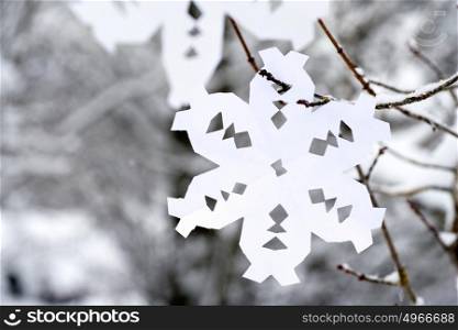 Paper snowflake hanging on a tree