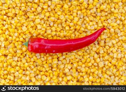 Paprika on corn as background. Paprika on corn as background.