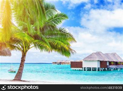 Paradise beach landscape, luxury hotel on an island, fresh big palm tree on the sea shore, amazing destination for exotic summer vacation, Indian Ocean, Maldives, Asia&#xA;