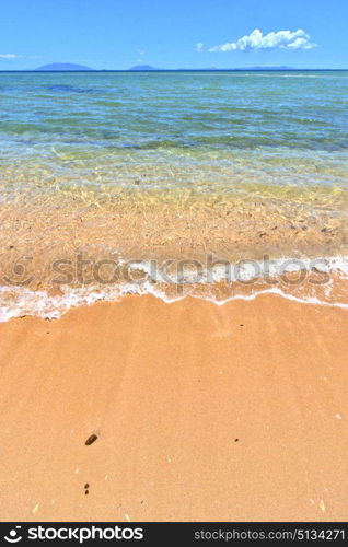 paradise beach seaweed in indian ocean nosy be madagascar sand isle sky and foam