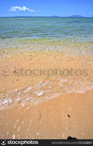 paradise beach seaweed in indian ocean nosy be madagascar sand isle sky and foam