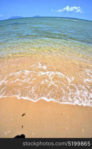 paradise beach seaweed in indian ocean nosy be madagascar sand isle sky and foam