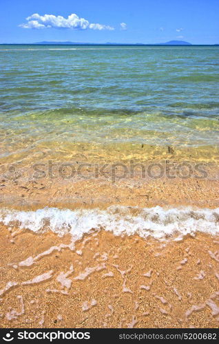 paradise beach seaweed in indian ocean nosy be madagascar sand isle sky and foam