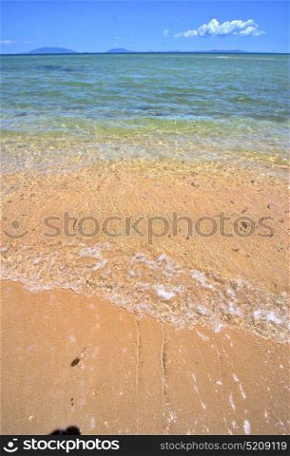 paradise beach seaweed in indian ocean nosy be madagascar sand isle sky and foam