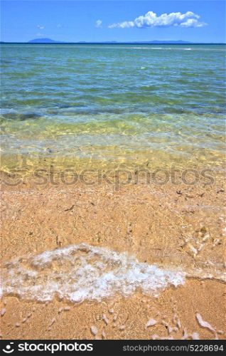 paradise beach seaweed in indian ocean nosy be madagascar sand isle sky and foam