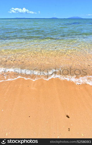 paradise beach seaweed in indian ocean nosy be madagascar sand isle sky and foam