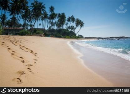 Paradise beach with coconut trees and footprints in golden sand, Tangalle, Southern Province, Sri Lanka, Asia.
