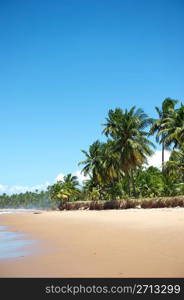 Paradise Brazilian Beach