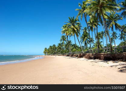 Paradise Brazilian Beach